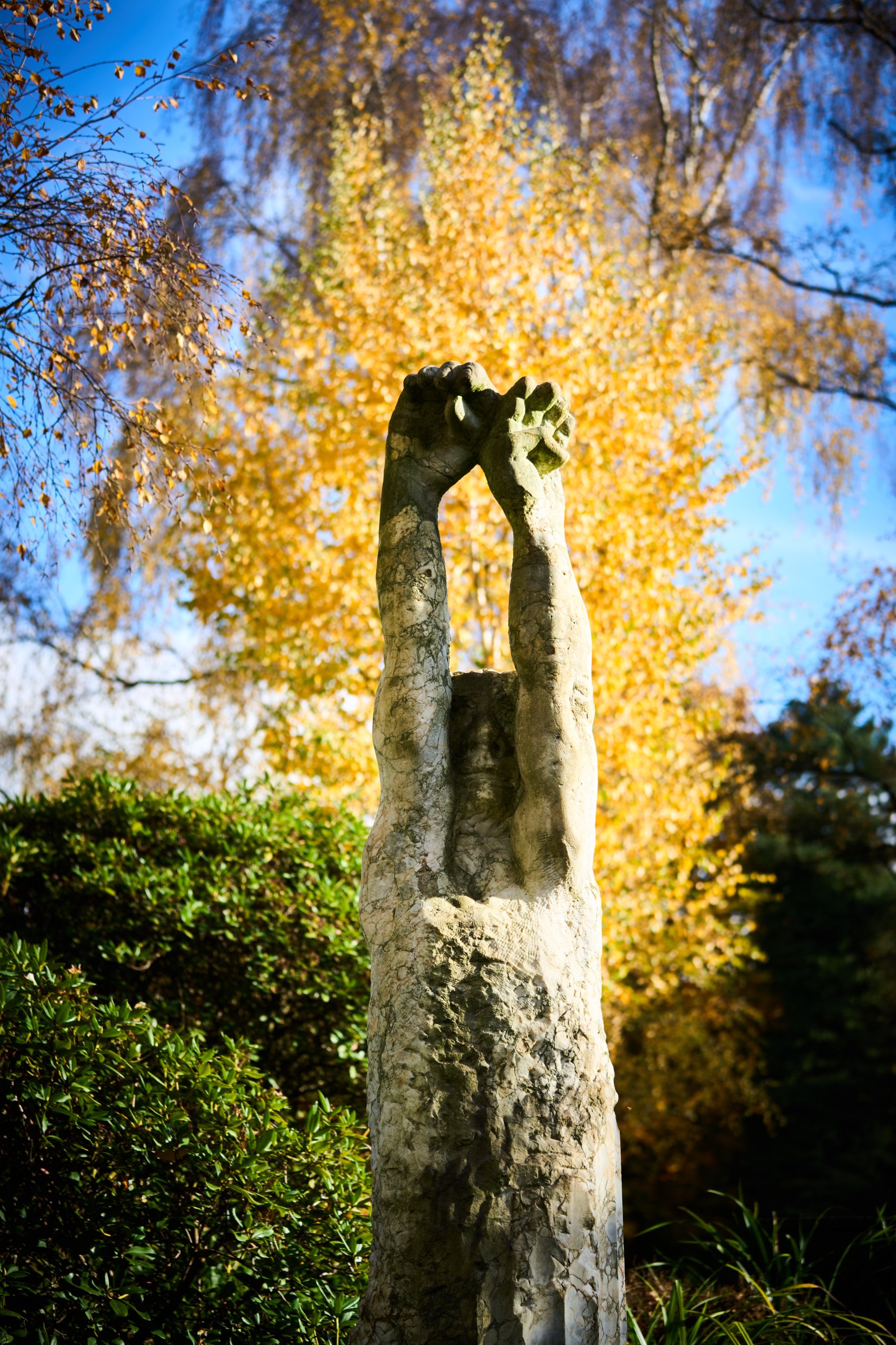 2025 11 02 Gruga 0005